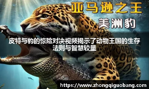 芒果体育官方网站