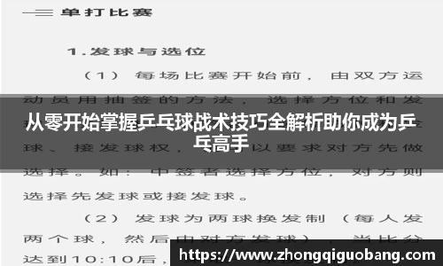 从零开始掌握乒乓球战术技巧全解析助你成为乒乓高手